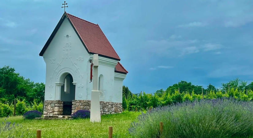 Szent Bertalan-kápolna Palkonyán – fényre tájolt épület a szőlőhegyen