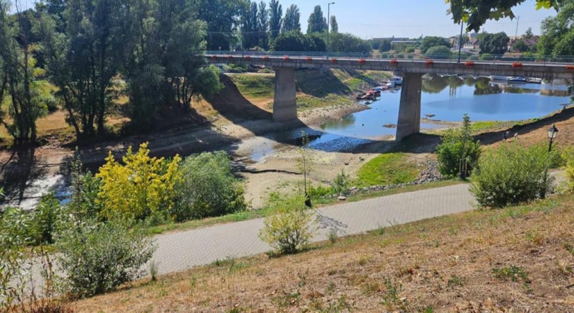 Kifogy a víz a Duna mellékágaiból: újabb vízemelő műtárgyra lehet szükség?
