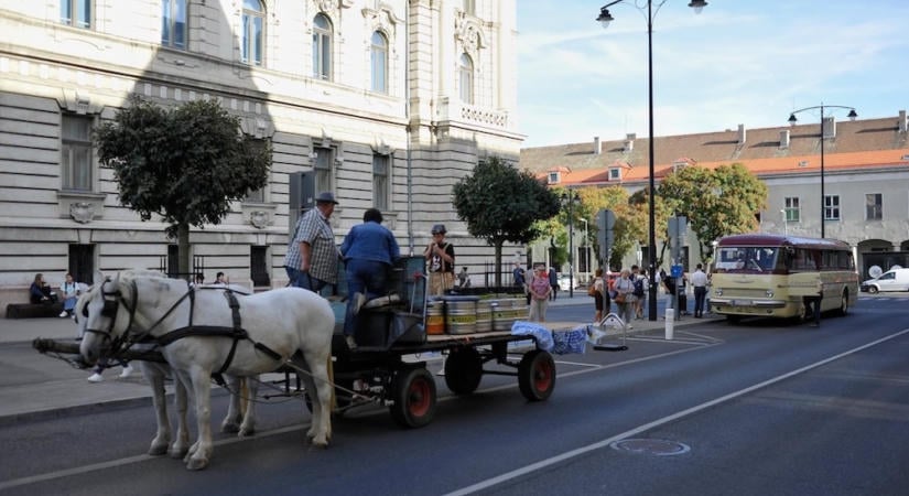 Nem fogsz unatkozni: mutatjuk a hétvége győri programjait!