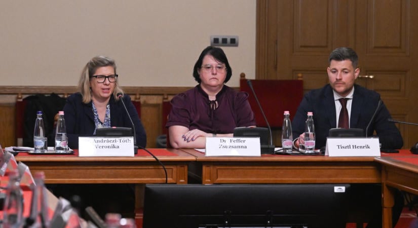 Melléthei-Barna Márton felszólította a KDNP-s Juhász Hajnalkát, hogy mondjon le a bizottsági tagságáról
