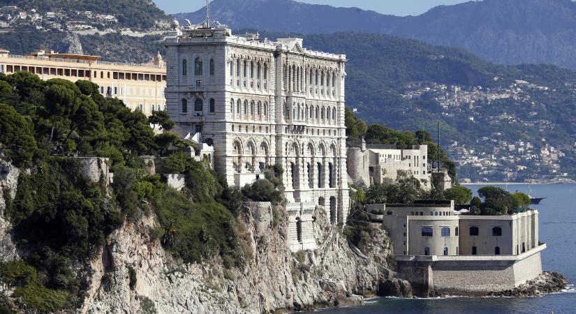 Monaco nemcsak a pénzmosók paradicsoma, hanem a polipoké és a cápáké is