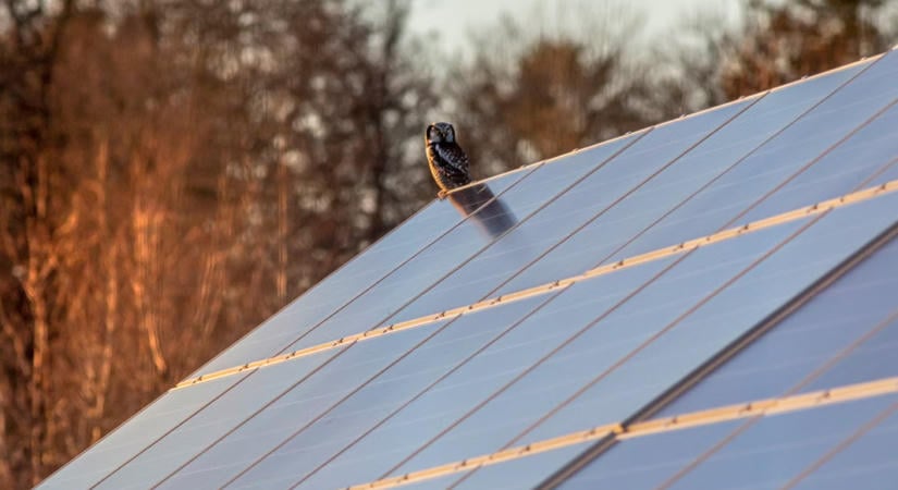 Legjobb napelem és inverter márkák 2026-ban: mi hódít most a magyar piacon?