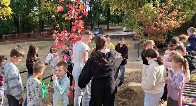 Ilyet nem mindennap látni az iskolaudvaron