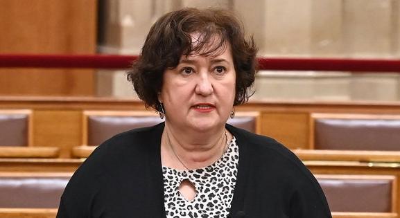 Gurmai Zita: elüldözték az orvosokat és ápolókat, az egészségügyre szánt pénzt ellopták