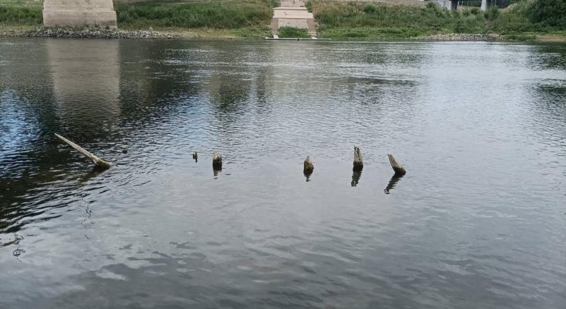 Olyan alacsony a Tisza, hogy betiltották a szórásos temetéseket