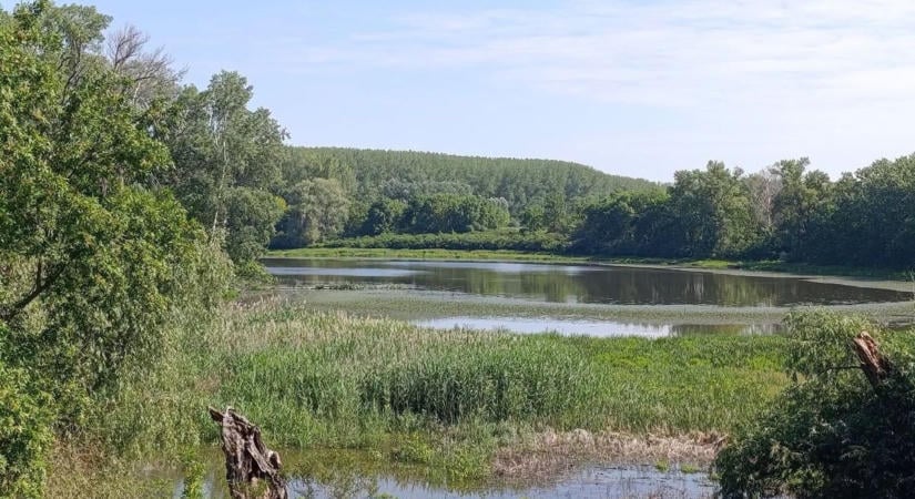 Több mint 30 ezer köbméter vízzel mentették a Nagy-torkot, hónapokra lezárják a horgászok előtt