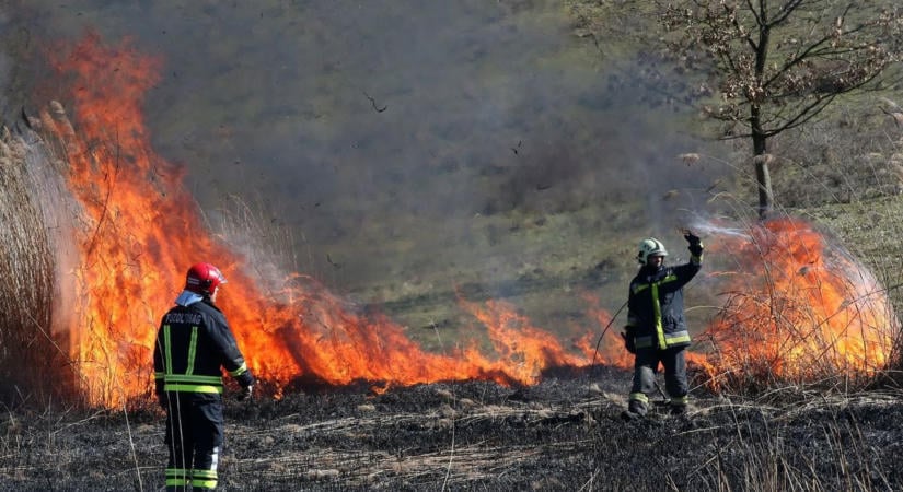 Egymást érték a tűzesetek: több településen is a lángokkal küzdöttek a tűzoltók