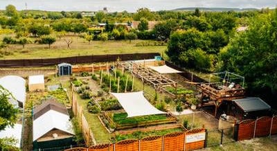 Saját kertre és nyomon követhető alapanyagokra épülő menüsorral bővít a balatonlellei Kedvesem Bisztró