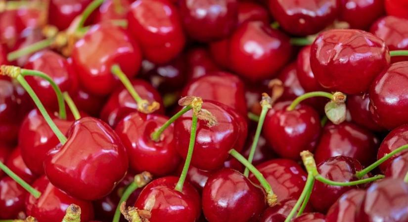Fordulat a gyümölcspiacon: visszaesett a cseresznye fogyasztása