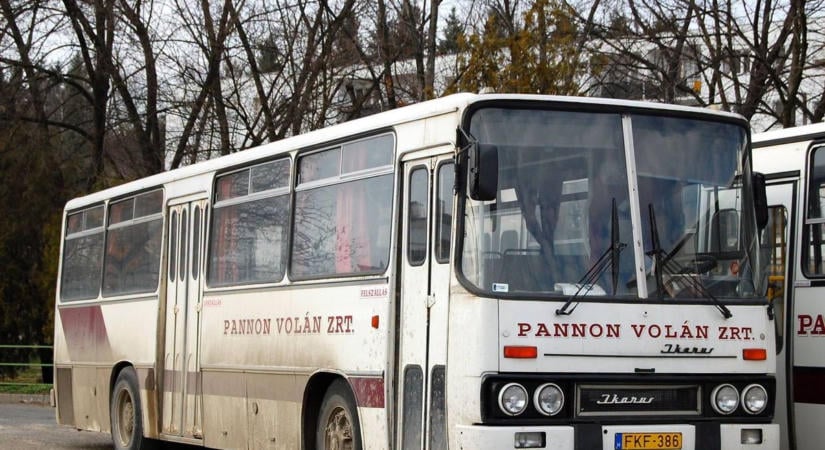 A Mecsek hűséges vándora: egy felejthetetlen Ikarus, amivel egy egész generáció nőtt fel – GALÉRIA