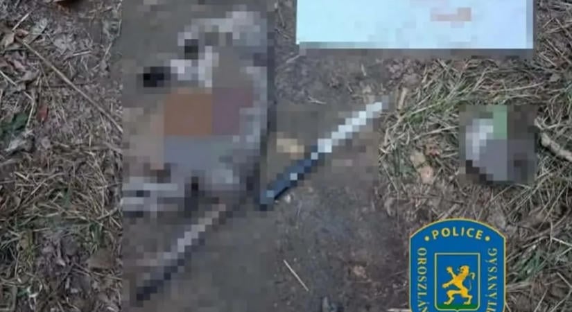 Veszélyes internetes csoport hálózhatja be a magyar gyerekeket – egy 14 éves fiút állatkínzásra vettek rá