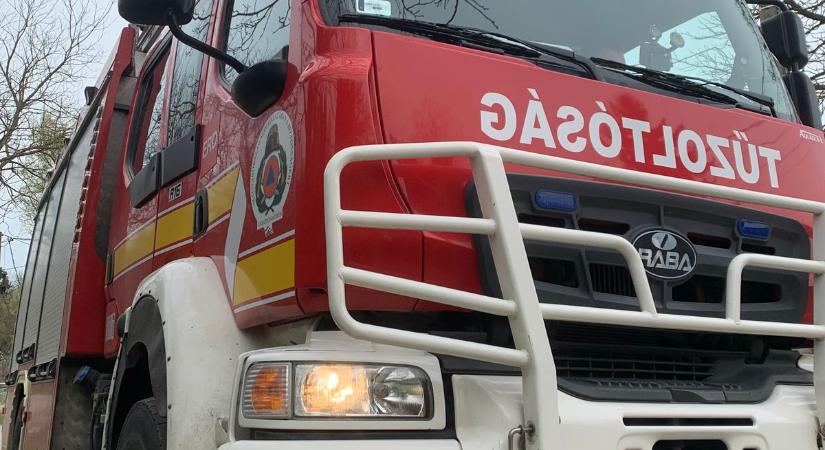 Trágyakupacok, szalma, avar és gaz is égett Sárbogárd külterületén