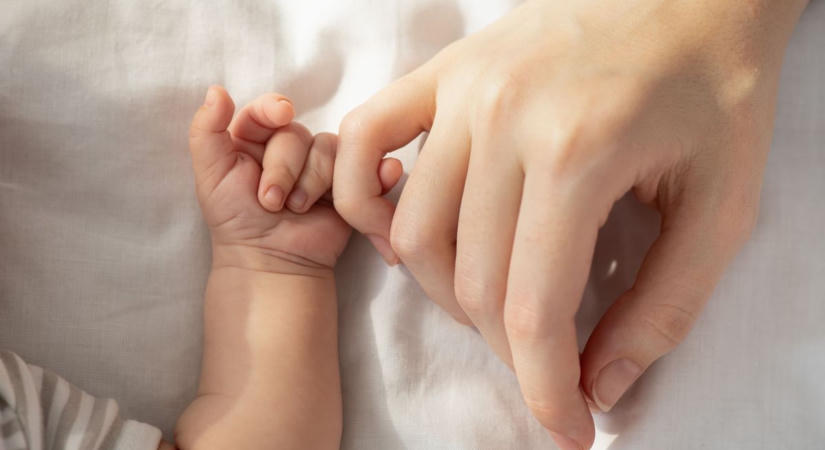 Kiskunhalasi anyakönyvi hírek