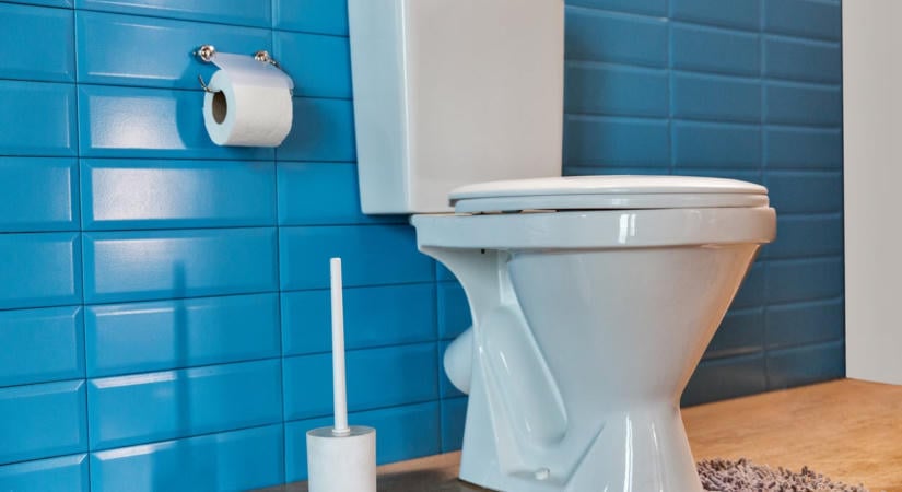 Ezt dobd a WC-tartályba, hogy minden öblítésnél ragyogjon a csésze – profi takarítók trükkje