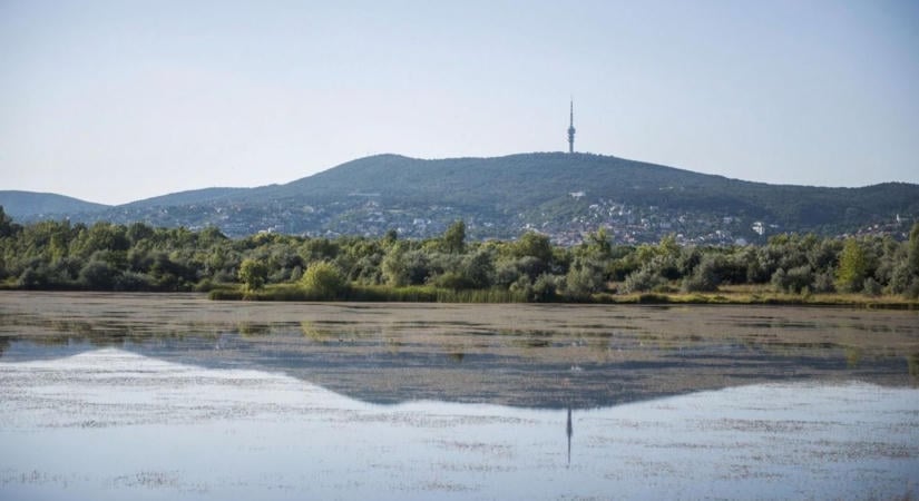 Termálvíz Pécsen: a több tízmilliárdos akvapark-álom és a kemény geológiai valóság