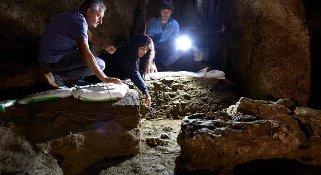 Neandervölgyi DNS-t vizsgálnak a spanyol régészek