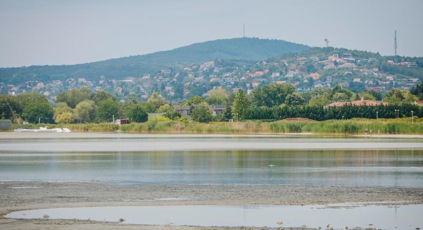 A Velencei-tó lett a gazdasági pokol kapuja, de jó tudni: óriásit kaszálhat az, aki elég bátor, hogy most vegyen házat