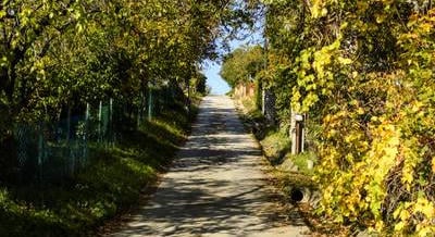 Egyedi kardiotanösvény nyílt Fonyódon, ahol a séta az egészségmegőrzést szolgálja