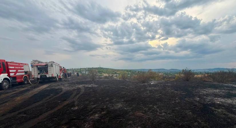 Áll a bál a Tétényi-fennsíkot elpusztító tűzvész miatt: a polgármestert támadják a hiányzó tűzcsapok miatt