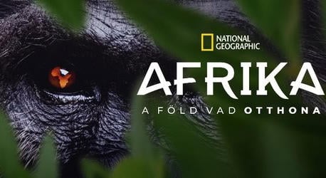 Afrika vadonja: lenyűgöző utazás a Disney-on