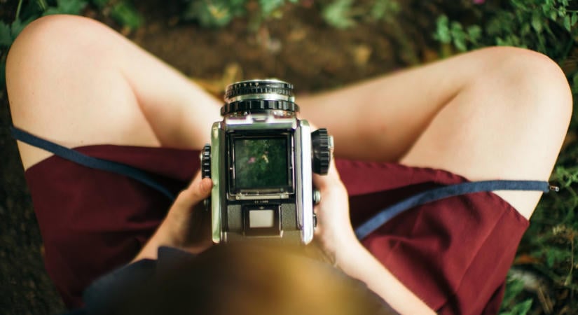Egy elefánt megrendítő viselkedését örökítette meg az év díjnyertes természetfotója