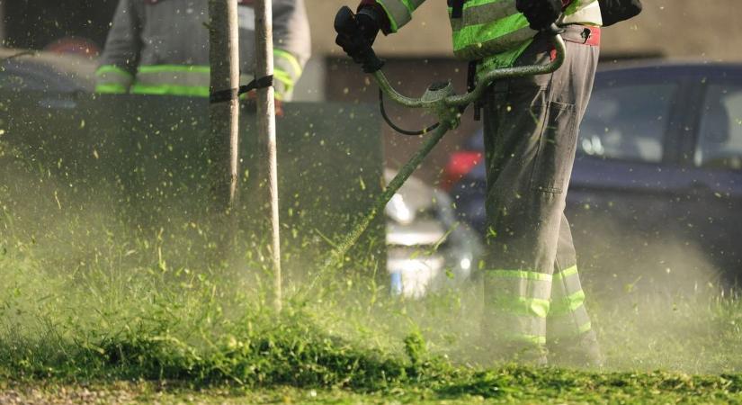 A szomszéd fűnyírója veri fel a nyugalmat? Sokan panaszkodnak a nyári zajokra