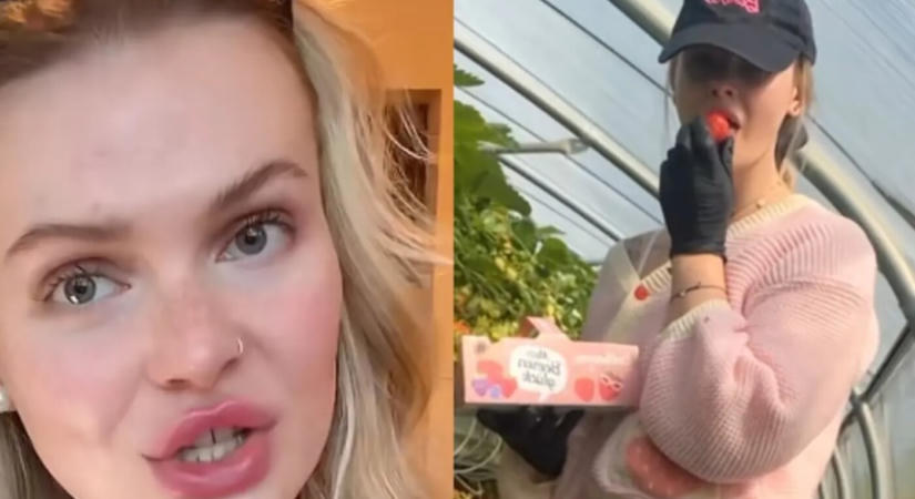 FOTÓK: Agata 33 nap alatt több mint 4 ezer eurót keresett eperbetakarítással, de nem volt könnyű dolga