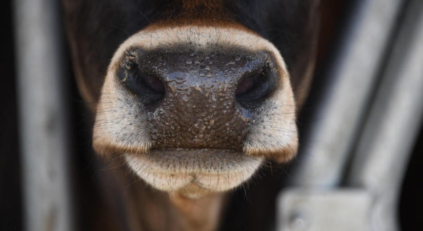 Kiszáradtak a területek „Nem bírom elviselni, ha jön még egy aszályos év”
