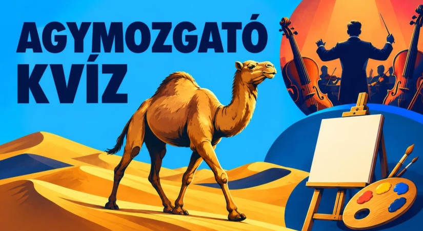 Ezt a 8 kérdést nem lehet pusztán megérzésből megoldani! Neked hány sikerül?