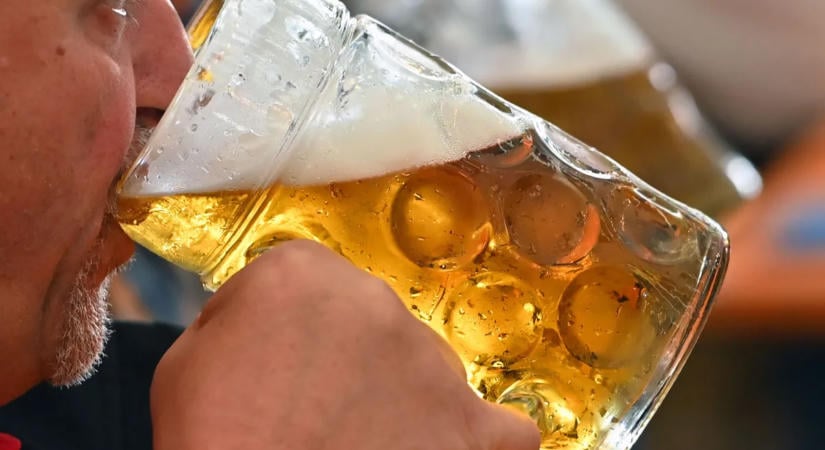 Rájöttek, hogyan rombolja le az agyat az alkohol