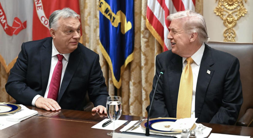 Spiegel: Orbán és Trump mutatta meg az AfD-nek, hogyan kell leuralni az államapparátust