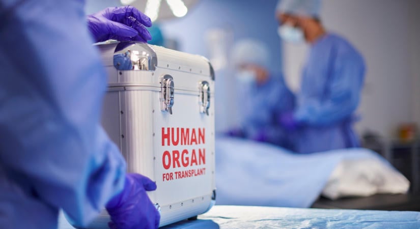 Hatalmas orvosi bravúr a Semmelweisen: először végeztek hármas veseátültetést itthon