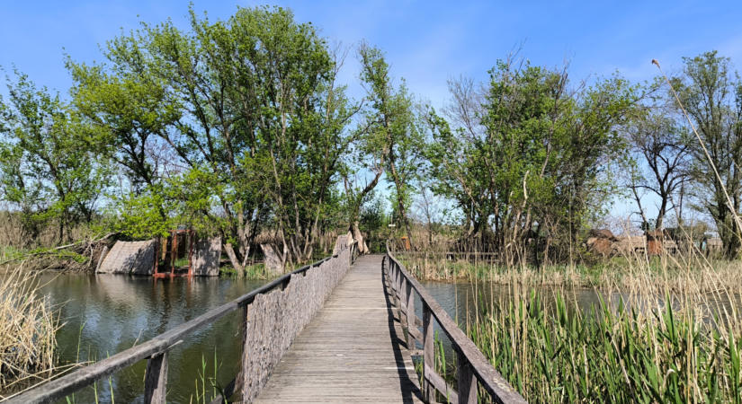 3 napos úti terv a Tisza-tónál gyerekekkel (térkép  költségtervezet)