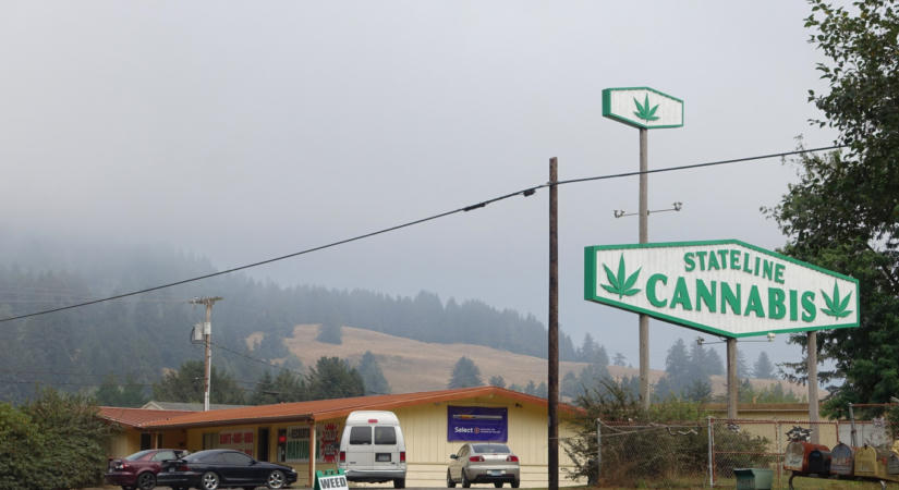 Mi védi jobban a kamaszokat a kannabisztól: a tiltás vagy a szabályozás?