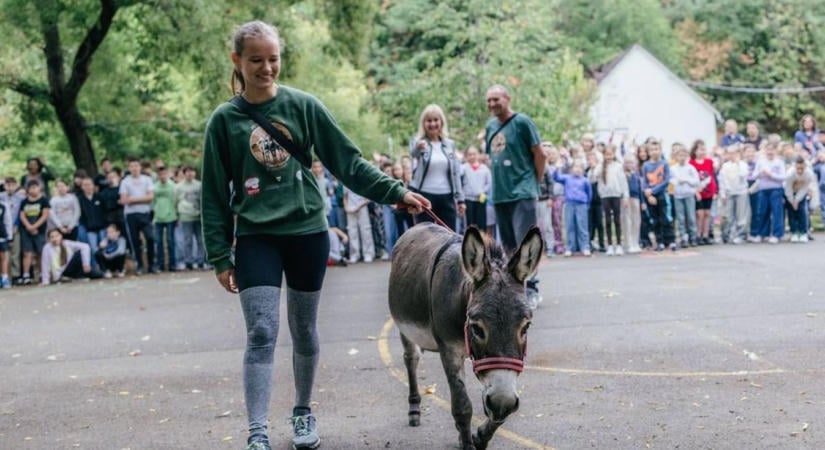 Egy lány és a törpeszamara: különleges közönségtalálkozó pénteken Zamárdiban