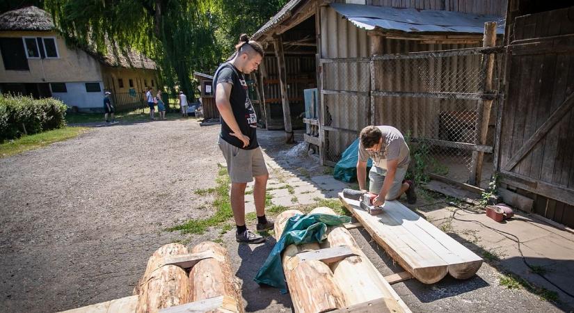 Önkéntesek segítségével az arborétum megszépüléséért