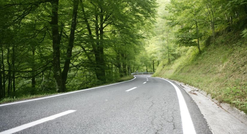 Váratlan veszély fenyegeti az autósokat ősszel: mit tegyünk, ha megtörtént a baj?