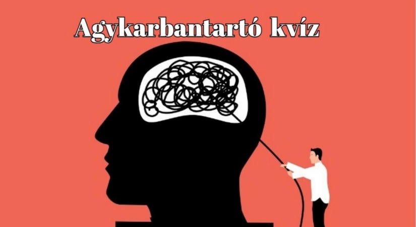 Friss kvízkaland - Van pár kérdésünk és nem félünk használni