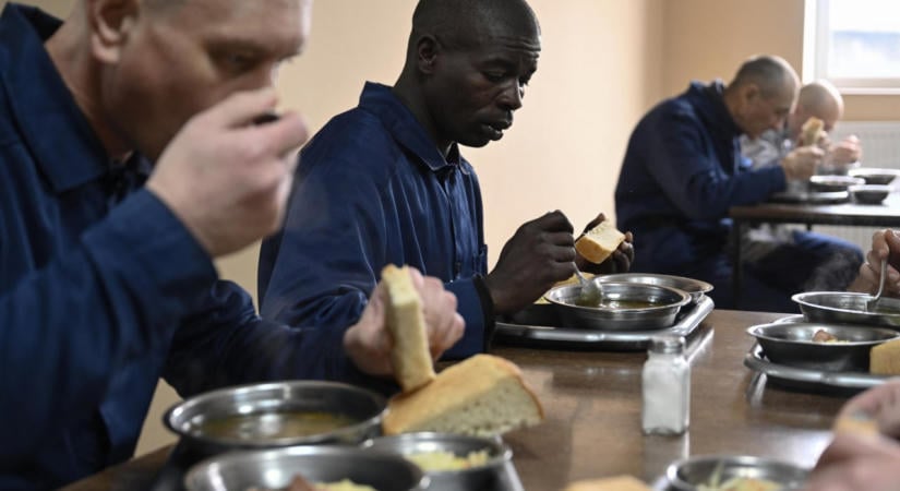 Afrikai országok haza akarják szállítani a hadifoglyokat Ukrajnából