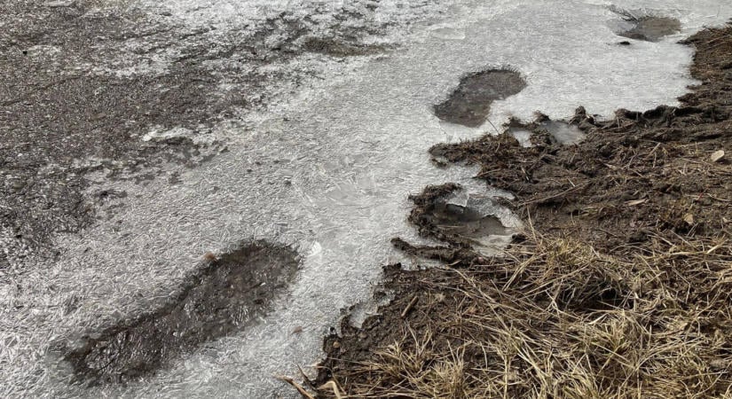 Ezért ne járj a deres füvön, a lábad nyoma barna foltként maradhat meg