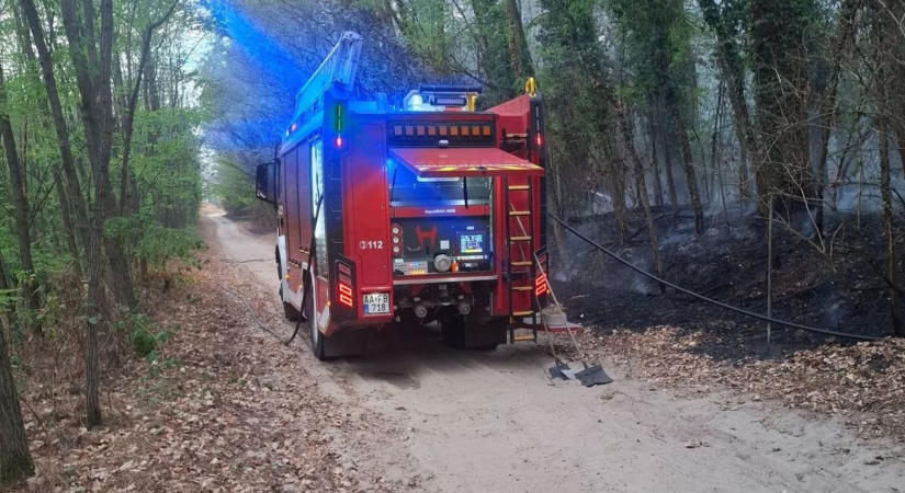 Gondatlanság okozott kis híján nagy katasztrófát a Pósteleken, kigyulladt az erdő