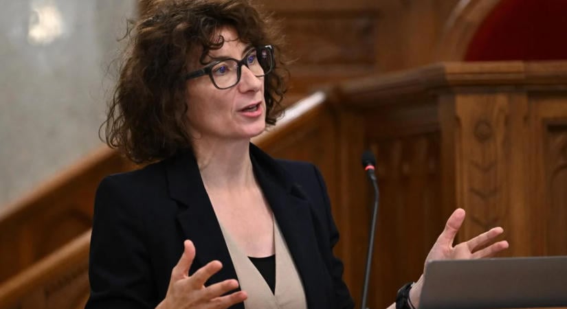 Gyurkó Szilvia szerint a gyermekvédelmi szakemberek folyamatos krízishelyzetben dolgoznak