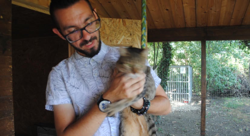 Kettős ünnepre készülnek a vásárhelyi állatvédők