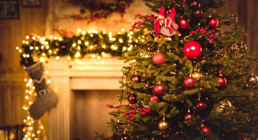 Eldőlt: nem lesz népszavazás december 24-ről