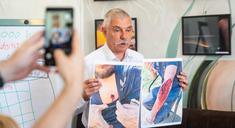 Védelmet kérnek a túlszaporodott medveállomány miatt – Országos petíció indult Háromszékről
