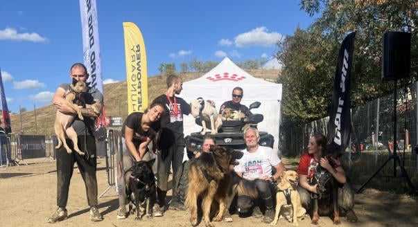 Kutyusok, gazdik és nehéz terepek: együtt folytatja a Jet Power Hungary és a Hard Dog Race