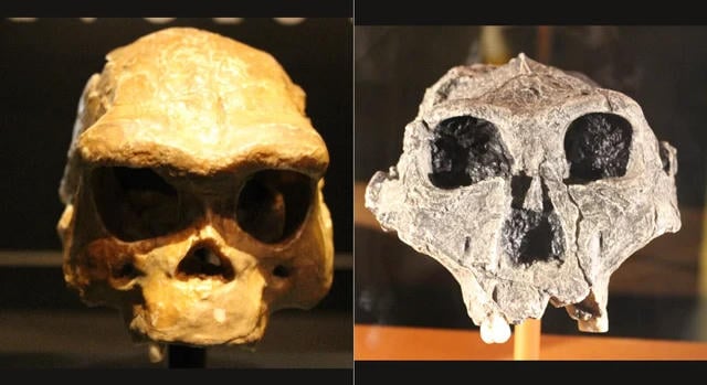 Kétmillió éves emberős maradványait azonosították Dél-Afrikában