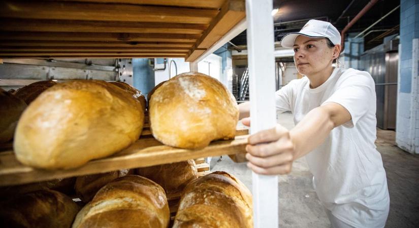 Pékek: nincs menekvés az extrém hőség, a kemencék elől Békésben