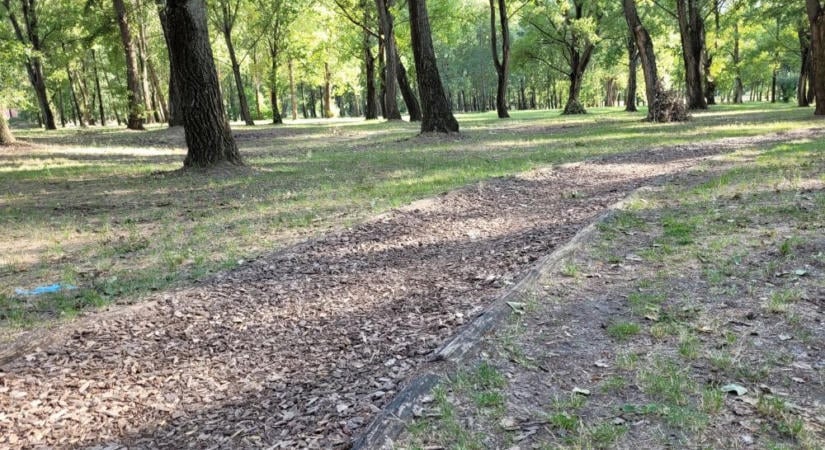 A Győr-Szol tulajdonába kerül a Marcalvárosi Kiserdő sokszor megénekelt része – a TSZV nem támogatta a döntést