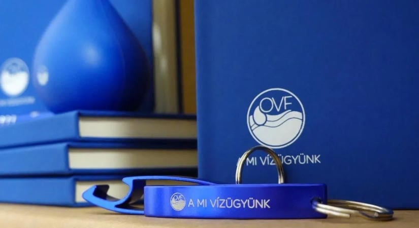 Lemond az Országos Vízügyi Főigazgatóság vezetője
